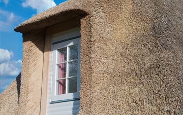 Tindale thatch roof disadvantages